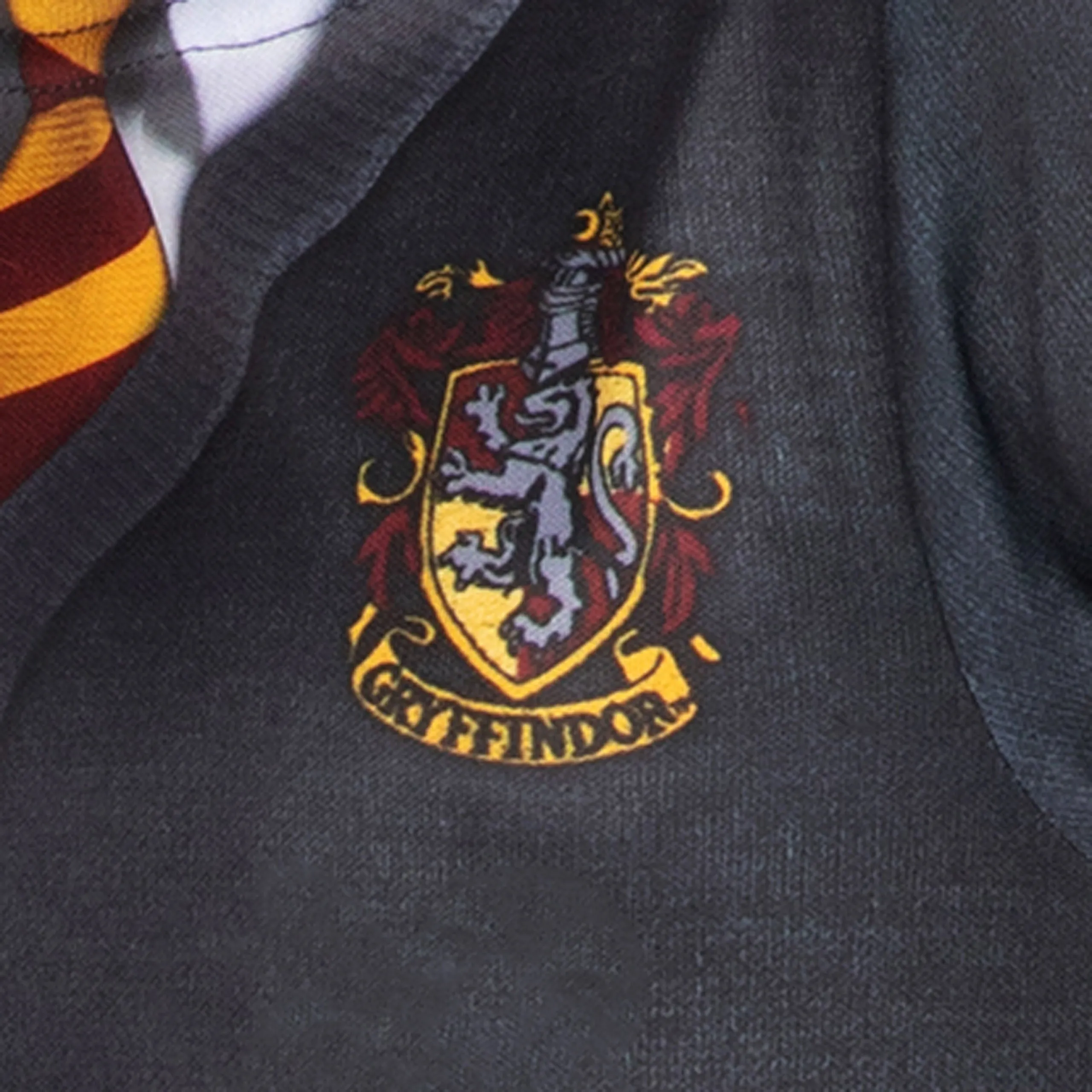 Hermione Fancy Dress Costume